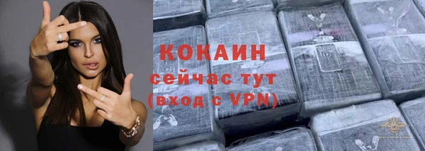 молекула духа Дмитриев