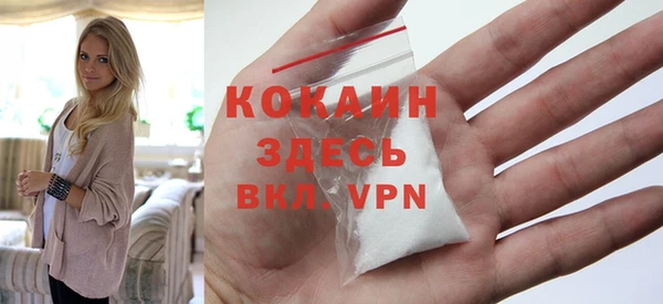 дмт Дмитровск