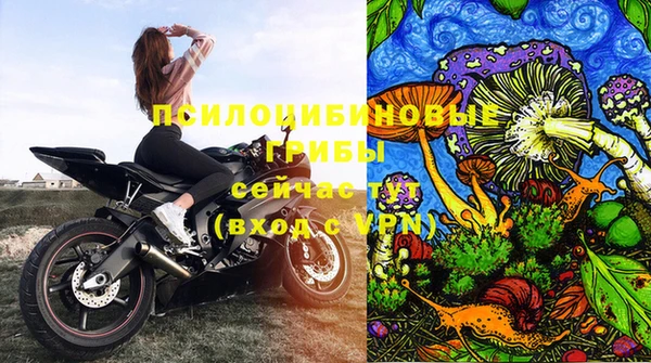 молекула духа Дмитриев
