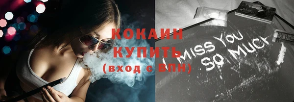 дмт Дмитровск