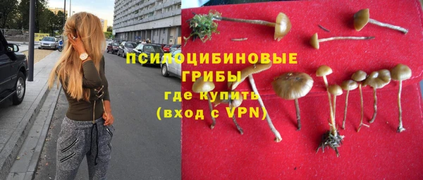 дмт Дмитровск