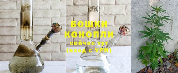 молекула духа Дмитриев