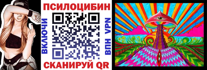 Купить где  Боровск  Псилоцибиновые грибы прущие грибы 